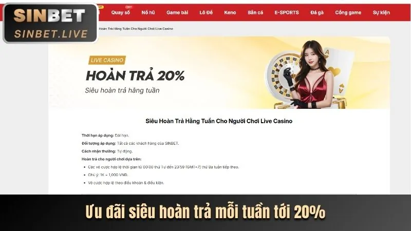 8qbet: Phân Tích Chuyên Sâu Các Chương Trình Khuyến Mãi Mới Nhất